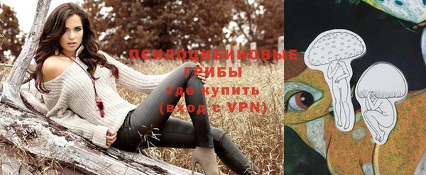 ГАЛЛЮЦИНОГЕННЫЕ ГРИБЫ Волоколамск