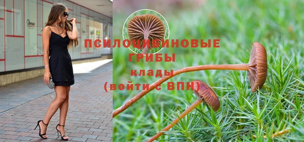 ГАЛЛЮЦИНОГЕННЫЕ ГРИБЫ Волоколамск