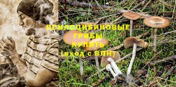 ГАЛЛЮЦИНОГЕННЫЕ ГРИБЫ Волоколамск