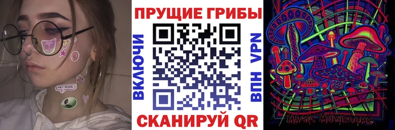 Купить закладки  Болгар  Галлюциногенные грибы Magic Shrooms 
